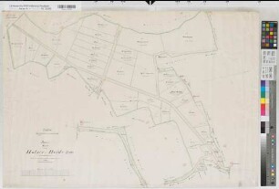 Bösperde (Menden), Teilung der Holzer Heide, Reinkarte