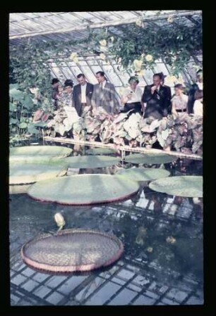 Botanischer Garten 3.7.55.