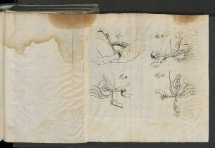 [Fig. I. - Fig. IV.]