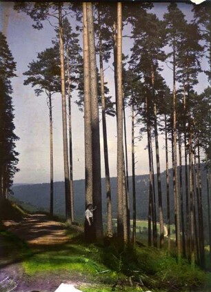 Südschwarzwald