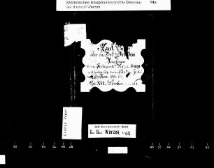 Gerichtshandelsbuch von Deuben (bei Wurzen)