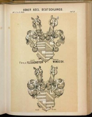 Taf. 9. nach Spener. Fhrn. v. Fleckenstein-Windeck. - nach Trier.