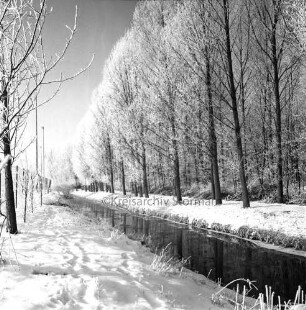 Beste: rechts Wanderweg mit Baumreihen des Kurparks: vorn links Zaun zum Kurparkstadion: Winter