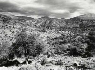 Landschaft bei Mykene