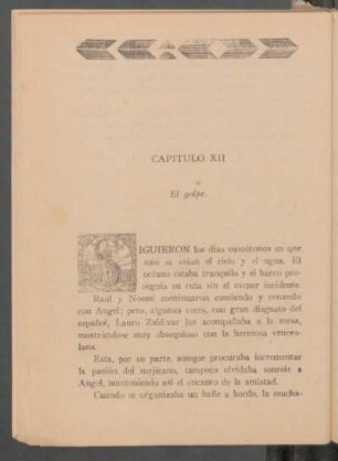 Capítulo XII - El golpe.