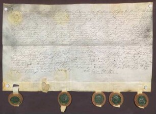 Instrumentum probationis des Grafen Leopold Ludwig von Hoensbroech.