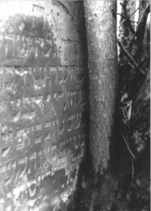 Grabstein 2167 (Detailaufnahme 2)