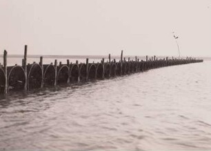Nordsee : Fischfang. Krabbenfang in Körben 1. Krabbenkörbe zur Ebbezeit von der Landseite aus. Der Elbestrom fließt in die Körbe hinein ( Wilhelmshafen ).