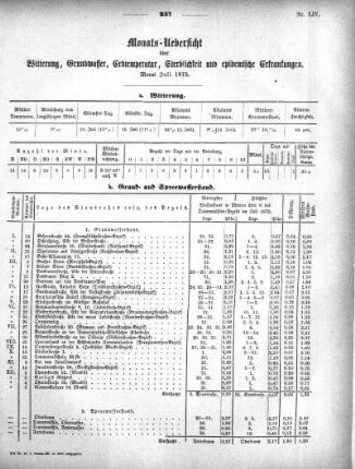 1875,54: Monats-Uebersicht über Witterung, Grundwasser, Erdtemperatur, Sterblichkeit und epidemische Erkrankungen. Monat Juli 1875