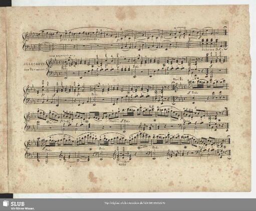 Allegretto con Variazioni.