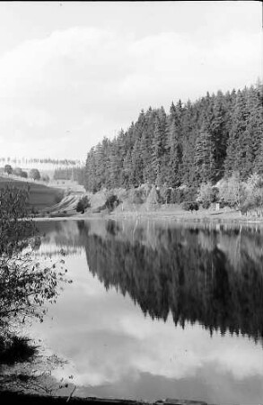 Weiher bei Friedenweiler
