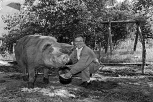 Hof von Günther Fielmann: Besitzer hockend bei der Fütterung von Schwein Borsti