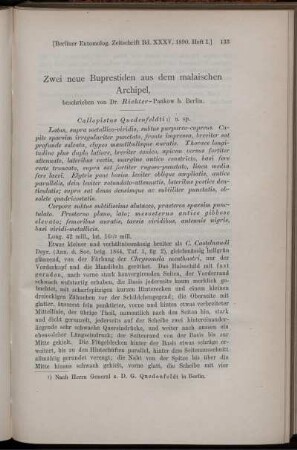 Zwei neue Buprestiden aus dem malaischen Archipel