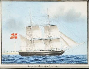 Zampa von Altona