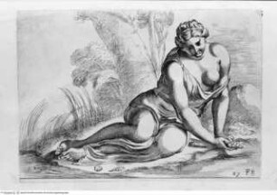 Segmenta nobilium signorum e[t] statuaru[m], quae temporis dentem invidium evasere, urbis aeternae ruinis erepta typis aeneis ab ce commissa perpetuae venerationis monumentum. (Romae) 1638 (1653)Tafel 89: Venus - Illmo. D. D. Rogerio Duplesseis Dño. de Liancourt Marchioni de Montfort, comiti de la Rocheguion E.a. ... [Icones et] segmenta nobilium signorum et statuarum quae temporis dentem invidium evasere urbis aeternae ruinis erepta typis aeneis ab ce comissa perpetuae venerationis monumentum