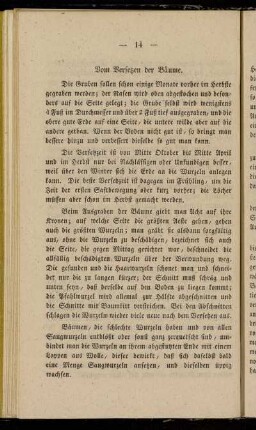 Vom Versetzen der Bäume