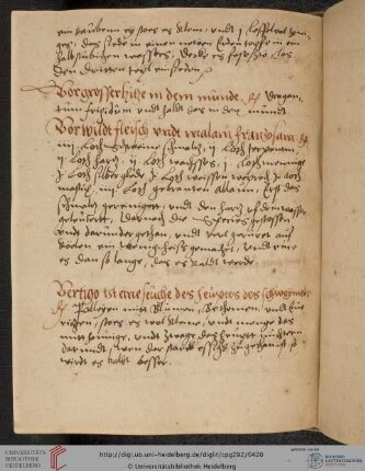 1 Rezept gegen Schwindel / Fol. 207ar-207gv nicht digitalisierte Leerseiten