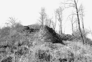 Sachgesamtheit Schauenburg (Burgruine); Schauenburg, Am Burgberge
