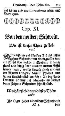 Cap. XI. Von denen wilden Schweinen.