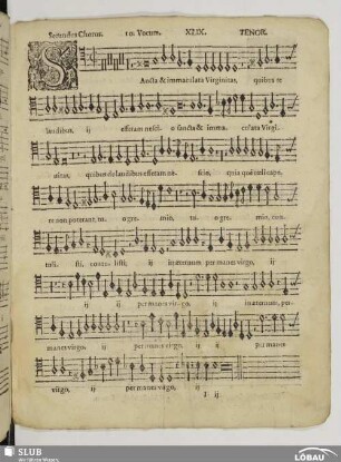 XLIX. Sancta et immaculata
