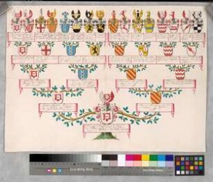 Proband: Nagel, Franz Adolph Joseph von; Vater: Nagel, Konrad Caspar von Nagel; Mutter: Cortenbach, Maria Adriana von: Mark, Grafschaft, Ritterschaft