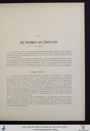 Die Spermien der Edentaten.