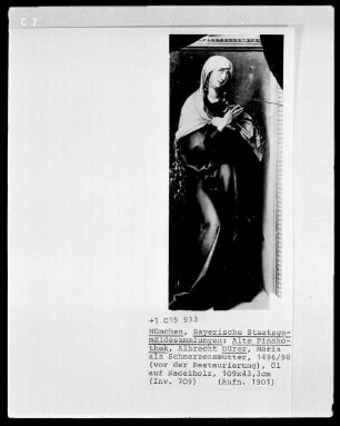 Die sieben Schmerzen der Maria — Maria als Schmerzensmutter