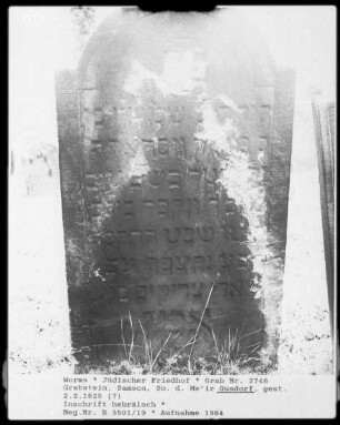 Grabstein von Samson, Sohn des Me'ir Gusdorf (gestorben 1825.02.02)