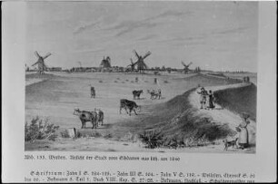 Werben (Elbe). Stadtansicht vom Elbdamm aus, Lithographie, um 1840, Repro