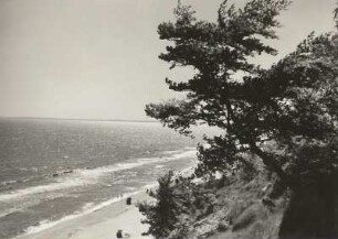 Usedom. Bewachsene Steilküste bei Ückeritz