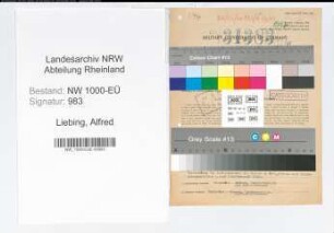 Entnazifizierung Alfred Liebing, geb. 03.06.1890 (Regierungsinspektor)