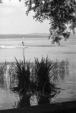 Unterschondorf: Wellenreiter [Wasserskifahrer]