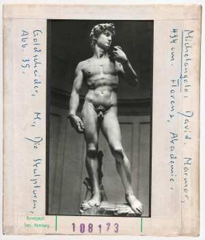 Michelangelo: David. Florenz, Akademie