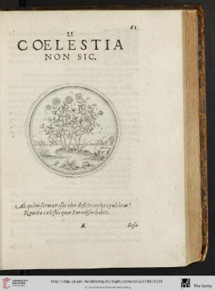 LI. Coelestia non sic