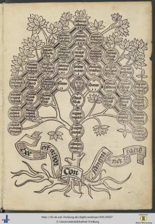 Arbor consanguinitatis.