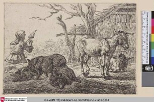 [Drei Schweine und zwei Esel mit sitzender Spinnerin; Three Swines and Tweo Asses, to the Left a Woman-Spinner]