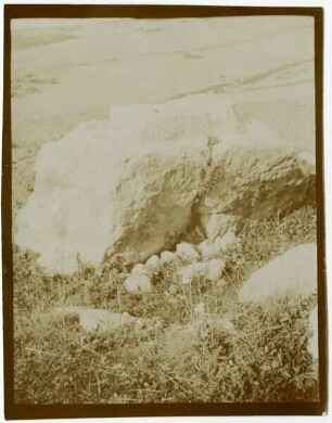 Altar b. sar'a [ Sara]