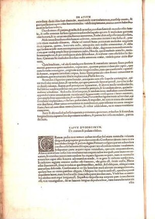 Capvt Dvodecimvm, De crurum & pedum ossibus.
