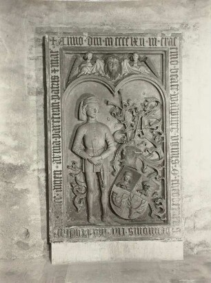 Brun, Theoderich