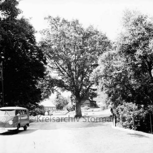 Tralau: Oldesloer Straße: vorn und hinten links VW-Busse: hinten Bäume: dahinter Häuser