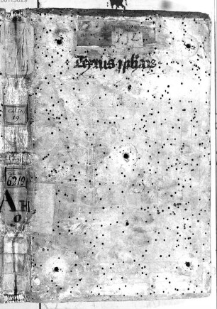 Prophetae minores cum glossa ordinaria - BSB Clm 6219