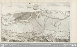 Tab. III. Prospect der Königl. Amts-Stadt Freienwalde, nebst dem umliegenden Oder-Bruch und dem Alaunen Werk wie sich solches von dem Punct A. praesentiret