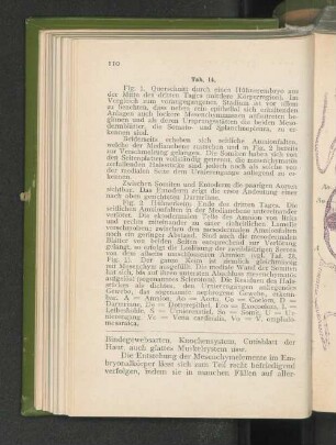 Tab. 14.