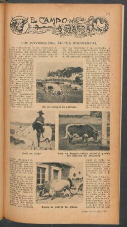 Los bovinos del África Occidental : El campo y la chacra