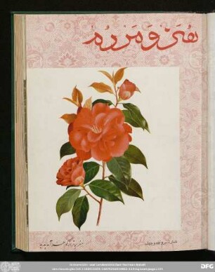 شمارۀ سی و نهم و چهلم [ـ دورۀ جدید] [دی و بهمن ماه ۱۳٤٤]