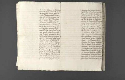 Vertrauliche Korrespondenz zwischen Markgraf Friedrich VII. Magnus von Baden-Durlach und Herzog Eberhard III. von Württemberg.