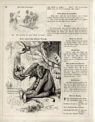 "Zu viel verlangt" "Eine asiatische Natur-Douche"