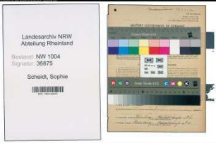 Entnazifizierung Sophie Scheidt , geb. 19.10.1896 (Kaufmann)