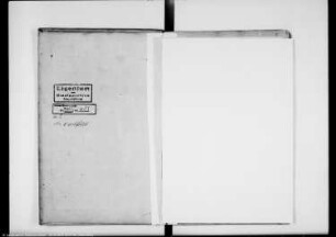 Manuale des Domkapitels zu Magdeburg (vol. X)