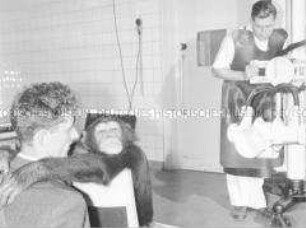 Tiermedizinische Untersuchung in der Bezirkstierklinik Rostock an einem Schimpansen